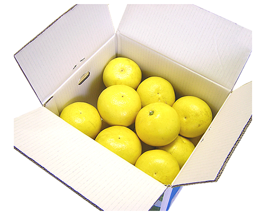 縲殖06071縲鷹ォ倡衍逵檎肇 蝨滉ス先枚譌ヲ 5kg竕ェ縺泌ョカ蠎ュ逕ィ竕ォシサ譛滄俣髯仙ョ壼刀シス