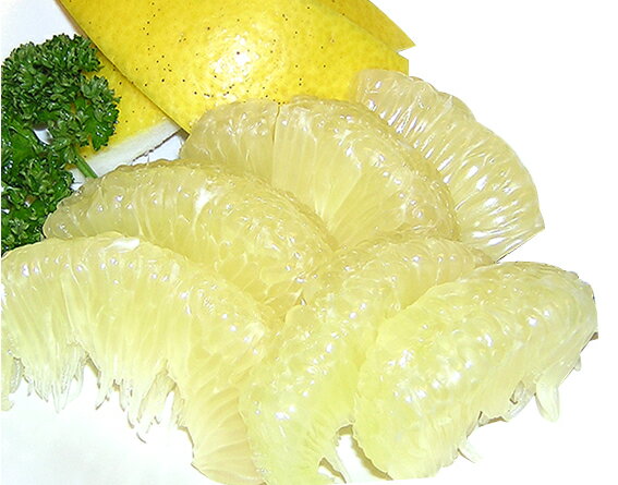 【B06071】高知県産 土佐文旦 5kg≪ご家庭用≫［期間限定品］