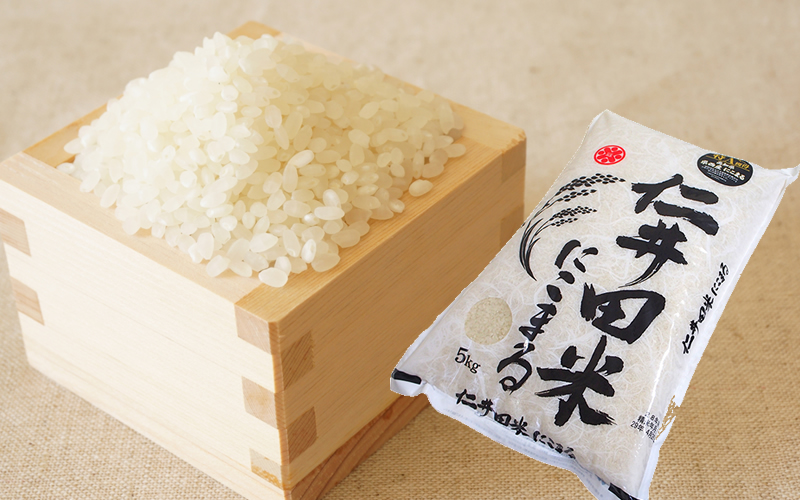 【D06026】仁井田米　「にこまる」　5kg　※令和7年産