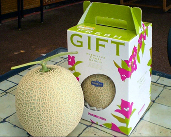 【C06036】高知県産　マスクメロン　1玉(約1.5kg)[期間限定品]