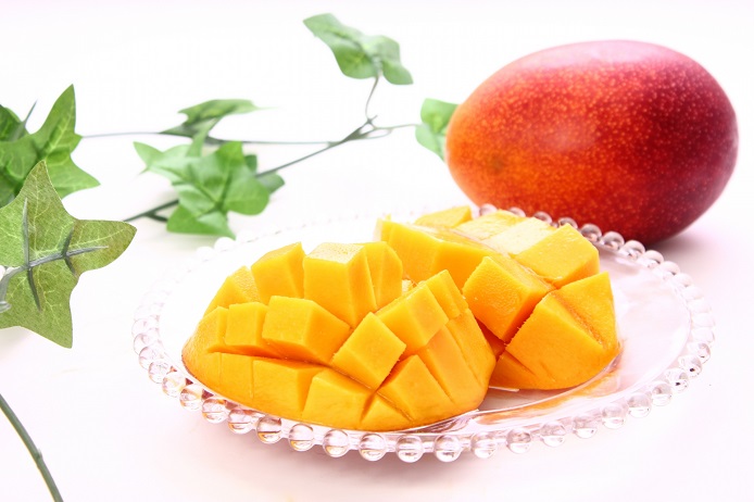 【E06015】高知の果物定期便(春〜夏)