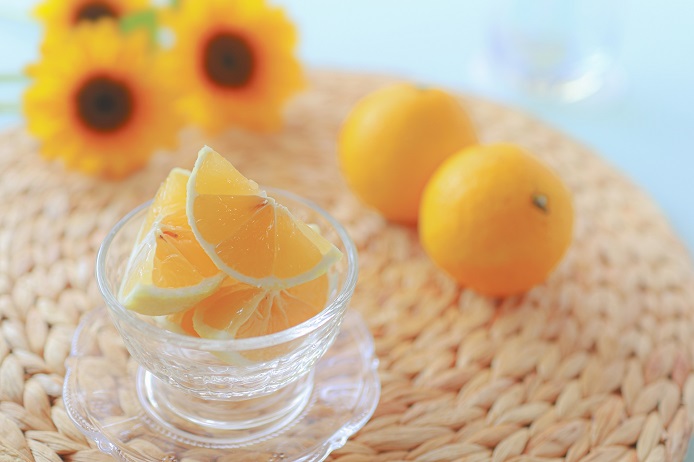 【E06015】高知の果物定期便(春〜夏)