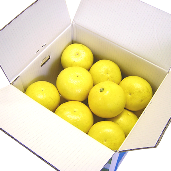 縲職06014縲鷹ォ倡衍縺ョ譫懃黄螳壽悄萓ソ(蜀ャ縲懈丼)