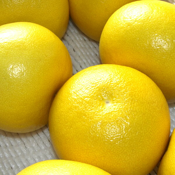 縲燭06037縲第クゥ螳、譁譌ヲ 3kg繝サ6縲7邇会シサ譛滄俣髯仙ョ壼刀シス