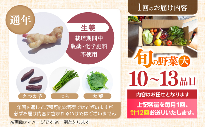 【12回定期便】土佐の太陽をいっぱいに浴びた旬の野菜セット「大」 (12回配送)【土佐野菜】 [ATBA010]