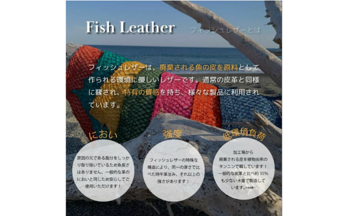 【Ocean Blue】Ocean Leather フィレ型キーホルダー【ブリ】【興洋フリーズ株式会社】 [ATBX086-04]