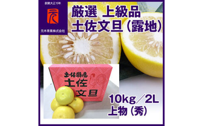 厳選上級品 土佐文旦（露地）／約10kg／２L 上物（秀）／【グレイジア株式会社】 [ATAC329]