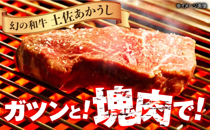 土佐あかうし 塊肉ステーキ 約500g（サーロイン）【株式会社Dorago】 [ATAM045]