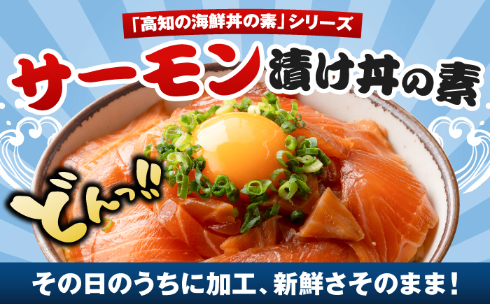 高知の海鮮丼の素「サーモンの漬け」約80g×10パック 【興洋フリーズ株式会社】 [ATBX088]