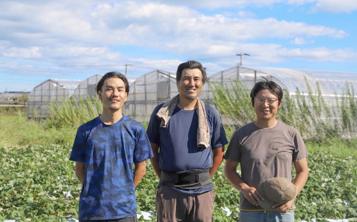 【12回定期便】土佐の太陽をいっぱいに浴びた旬の野菜セット「大」 (12回配送)【土佐野菜】 [ATBA010]