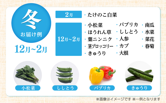 【6回定期便】 土佐の太陽をいっぱいに浴びた旬の野菜と生姜約100gのセット「大」 (6回配送)【土佐野菜】 [ATBA015]