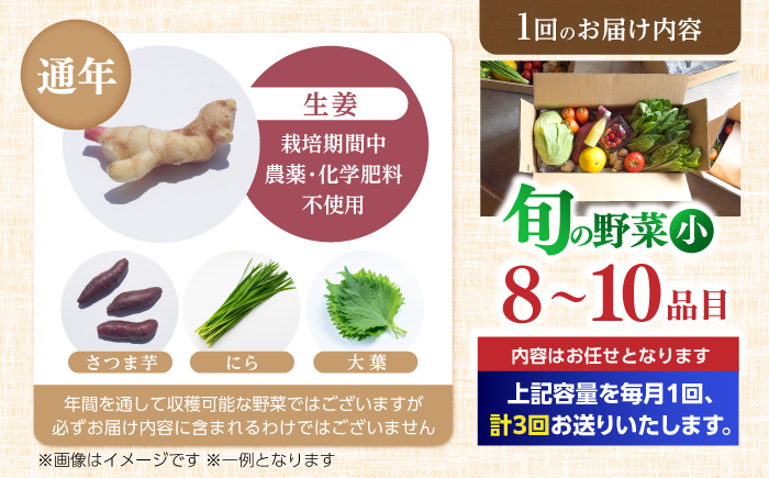 【3回定期便】 土佐の太陽をいっぱいに浴びた旬の野菜セット小 【土佐野菜】 [ATBA005]