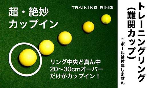 ゴルフ パターマット 高速45cm×5m トーナメントSBと練習用具3種 【パターマット工房PROゴルフショップ】 [ATAG007]