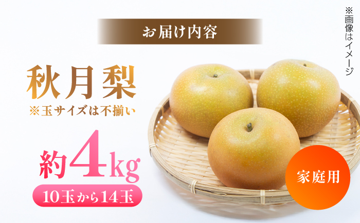 【先行予約】 川渕果樹園 秋月梨 約4kg 家庭用 〈2025年10月〜発送〉 / 梨 なし ナシ  果物 フルーツ デザート 秋 甘い ジューシー 【株式会社Dorago】 [ATAM059]