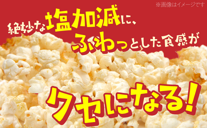 現代人にマッチしたグーな味！「マックのポップコーン 」11袋セット（アレルギーフリー）【あぜち食品】 [ATCC006]