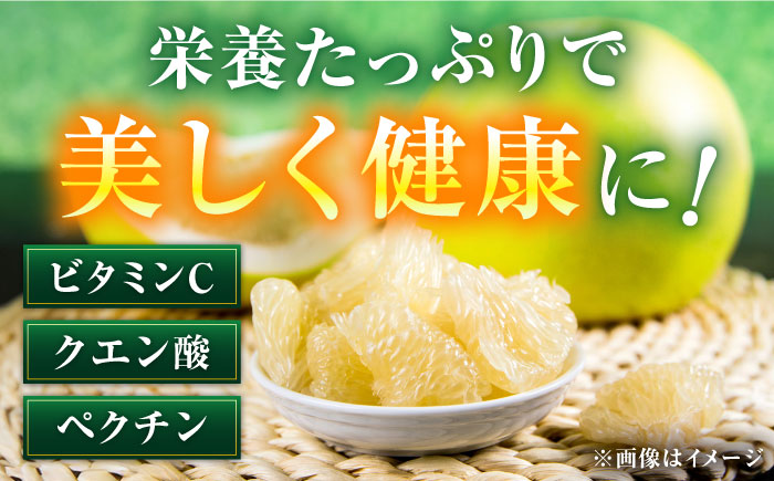 【9月下旬頃より発送】高知県産 水晶文旦 約3kg 7玉入 【株式会社　四国健商】 [ATAF031]