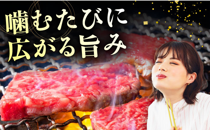 土佐あかうし 焼き肉用カルビ 約500g /和牛 国産和牛 高知県産 高知市 焼肉【株式会社Dorago】 [ATAM041]