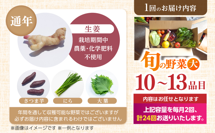 【24回定期便・月2回配送】 土佐の太陽をいっぱいに浴びた旬の野菜セット「大」10〜13品目 / 高知 土佐 旬 野菜 詰め合わせ セット 仕送り 【土佐野菜】 [ATBA018]