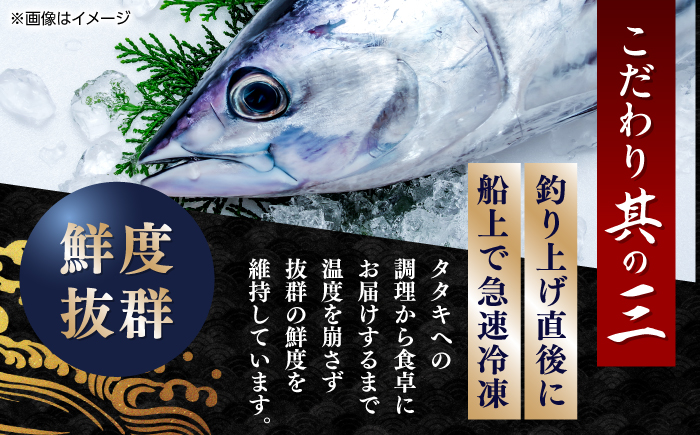 一本釣り龍馬鰹たたき 約600g かつお カツオ わらやき 高知 【株式会社 七和】 [ATAX001]