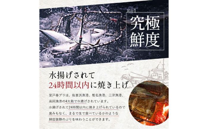 高知県産 天然ブリ 藁焼きたたき 室戸春ブリ 葉ニンニクのぬた 約350g 【池澤鮮魚オンラインショップ】 [ATBE009]