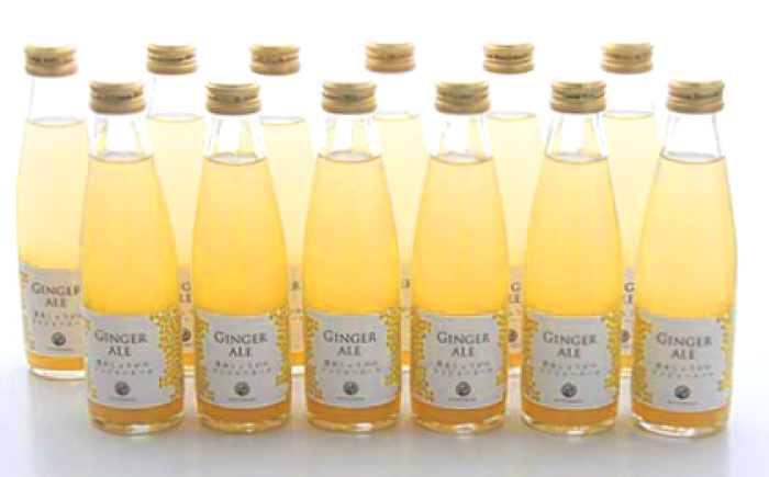 黄金しょうがのジンジャーエール12本/ 土佐生姜 スパークリング ジンジャーエール 爽やか【はるのTERRACE】 [ATAV002]