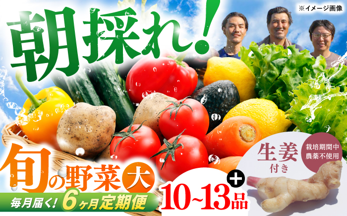 【6回定期便】 土佐の太陽をいっぱいに浴びた旬の野菜と生姜約100gのセット「大」 (6回配送)【土佐野菜】 [ATBA015]