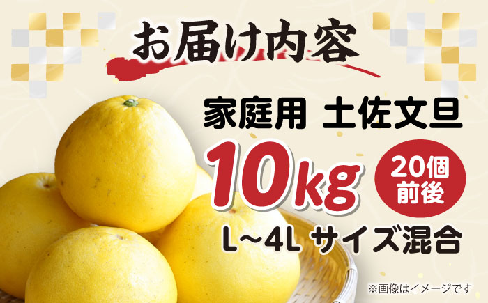 【訳あり】高知県産 土佐文旦 ご家庭用 約10kg（20玉前後）〈2025年3月上旬〜発送〉/味や品質には問題なし！皮に擦れや傷あり 訳アリ 高知 土佐 文旦 柑橘 家族 【SHOP KEYYA】 [ATAO010]