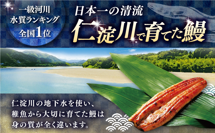 【6回定期便】土佐料理司 三代目天の鰻蒲焼2尾セット 高知市 春野町産 【株式会社土佐料理司】 [ATAD060]