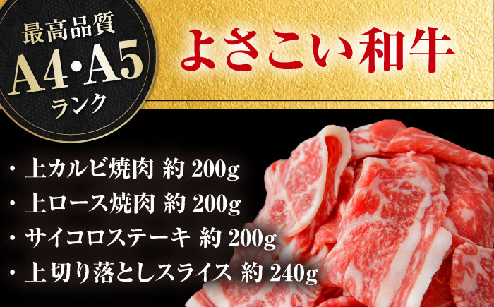 高知から美味しいお肉の玉手箱! 化粧箱入り 総計約840g 牛肉 ステーキ 焼肉 切り落とし 国産 A4 A5 【(有)山重食肉】 [ATAP020]