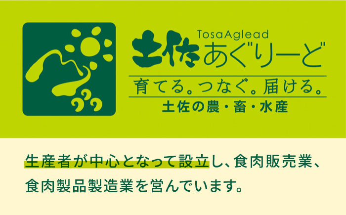 土佐はちきん地鶏ムネ肉 約1kg 【合同会社土佐あぐりーど】 [ATBO028]