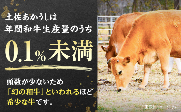 土佐あかうし 塊肉ステーキ 約500g（サーロイン）【株式会社Dorago】 [ATAM045]