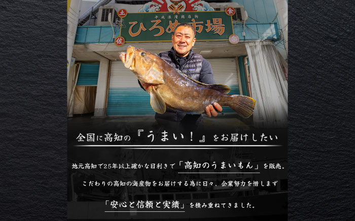 伊勢海老 2匹入 約600g〜800g 活き イセエビ いせえび 刺身 海鮮 御中元 お中元 敬老の日 ギフト 贈り物 プレゼント 伊勢エビ 伊勢えび 高級食材 送料無料【土佐黒潮水産】 [ATCQ007]