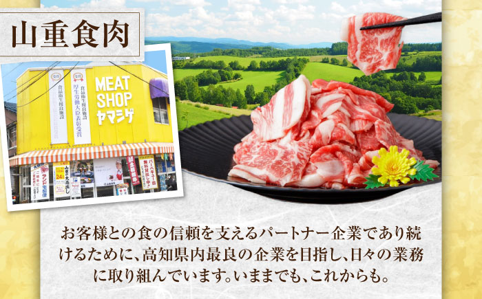 高知県産 よさこい和牛 (上) 赤身 しゃぶしゃぶ用 約250g 国産 牛肉 赤身 しゃぶしゃぶ 【(有)山重食肉】 [ATAP089]