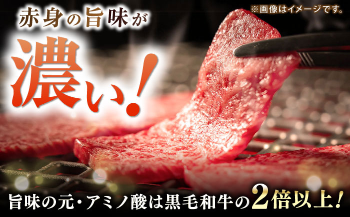 土佐あかうし バラ (焼肉用) 約500g 幻の和牛 【グレイジア株式会社】 [ATAC032]