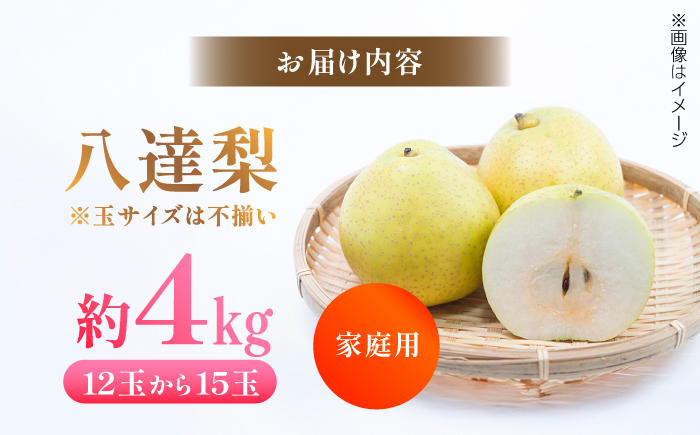 【先行予約】 川渕果樹園 八達梨 約4kg 家庭用 〈2025年10月〜発送〉 / 梨 なし ナシ 果物 フルーツ デザート 秋 甘い ジューシー 【株式会社Dorago】 [ATAM061]