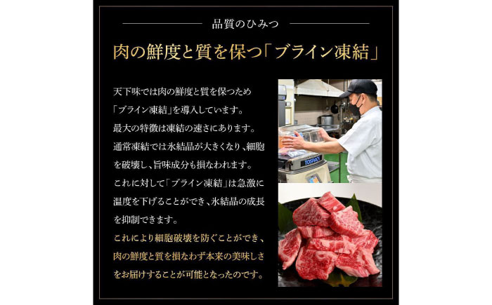 熟成肉 土佐あかうし 土佐和牛2種食べ比べ 特選ヒレ肉サイコロステーキ 約4kg (約500g×各4) 【株式会社LATERAL】 [ATAY100]