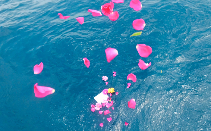 愛猫のための代行海洋散骨供養チケット 3000円分 (粉骨・散骨証明書・ブックレット付) / ペット供養 愛猫供養 猫 ねこ ネコ 海 埋葬 自然葬 葬儀 お別れ 弔い サービス 代行 委託 メモリアル 遺骨 粉骨 船 プラン 【龍馬カンパニー株式会社】 [ATID002]