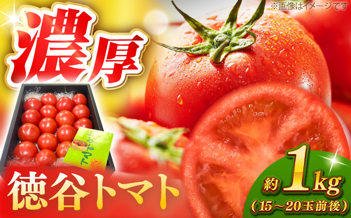 濃厚!徳谷トマト約1.0kg 箱詰 生産者指定なし 厳選上級品 〈2026年6月中旬頃まで発送〉 【グレイジア株式会社】 [ATAC322]