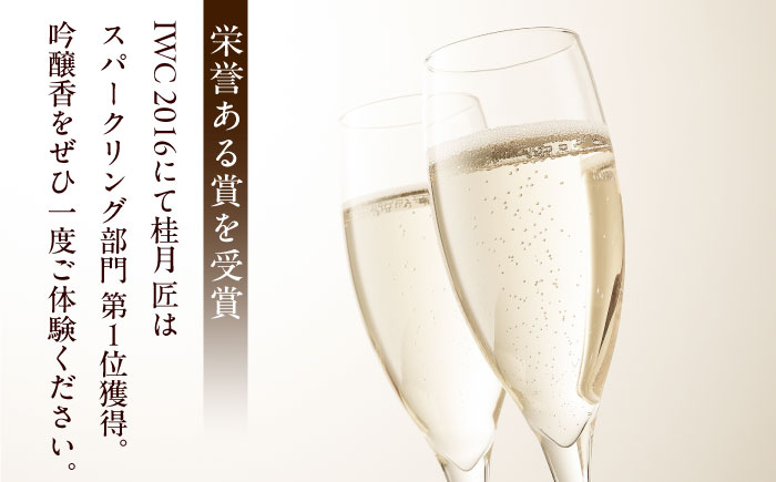 土佐酒造 桂月 スパークリング酒 匠 (ジョン) 750ml 2本 日本酒 地酒 【近藤酒店】 [ATAB074]