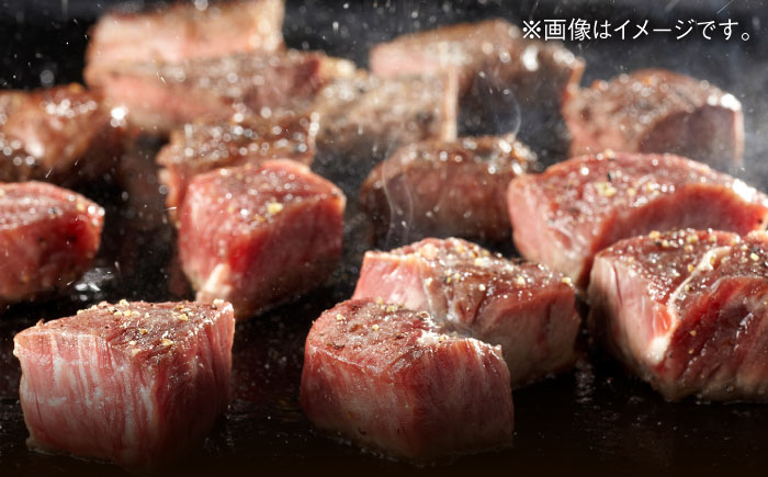 エイジング工法 熟成肉 土佐あかうし 特選ヒレ サイコロステーキ 約500g 冷凍 【株式会社LATERAL】 [ATAY018]