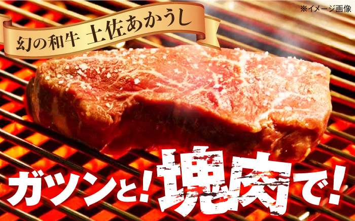 土佐あかうし 塊肉ステーキ 約500g（うで）【株式会社Dorago】 [ATAM047]