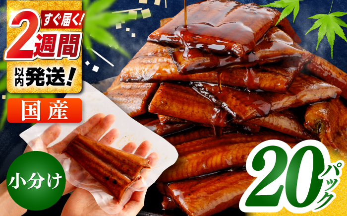 【年内発送 12/18入金分迄】訳あり 鰻蒲焼きカット　約50g×20　タレ(山椒)付　【株式会社七和】 [ATAX035]