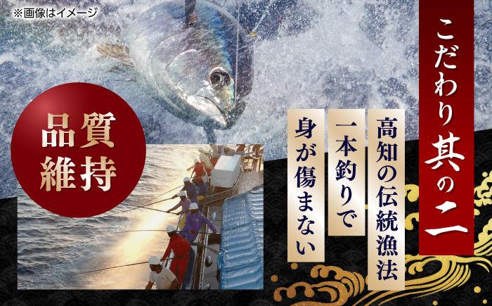 一本釣り龍馬鰹たたき 約600g かつお カツオ わらやき 高知 【株式会社 七和】 [ATAX001]