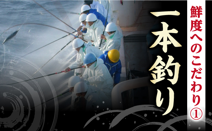 【6回定期便】土佐料理司本店 鰹たたき2節セット（4〜5名分） / かつお 鰹 カツオ かつおのたたき 高知市【株式会社土佐料理司】 [ATAD054]