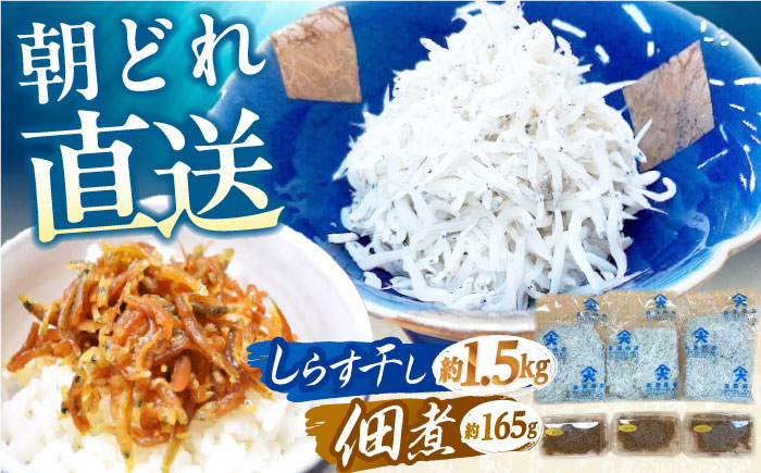 しらす干し（約1.5kg）と佃煮（約165g）セット /森国商店 浜で瞬時に釜出し 高知のしらす【グレイジア株式会社】 [ATAC487]