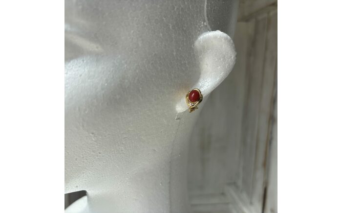 【記念日の贈り物に】K18ゴールドと土佐産赤珊瑚の華やかなダイヤモンドイヤリング D0.03ct/専用ケース付 / プレゼント ギフト レディース 【有限会社米沢サンゴ店】 [ATCX072]