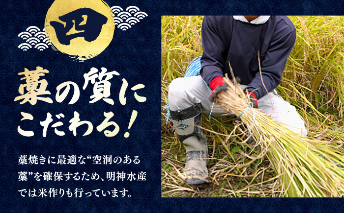 【6回定期便】明神水産 藁焼き鰹 (カツオ) たたき 2袋 (約500g) セット 総計約3kg 【株式会社 四国健商】 [ATAF135]