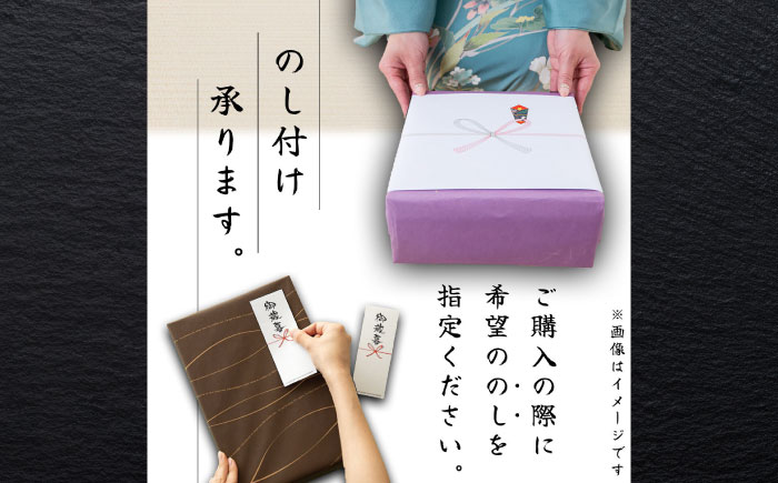 伊勢海老 2匹入 約600g〜800g 活き イセエビ いせえび 刺身 海鮮 御中元 お中元 敬老の日 ギフト 贈り物 プレゼント 伊勢エビ 伊勢えび 高級食材 送料無料【土佐黒潮水産】 [ATCQ007]