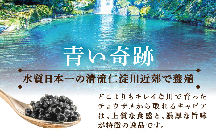 高知産熟成キャビア30g (化粧箱) シェルスプーン付Black Jewel 【興洋フリーズ株式会社】 [ATBX010]