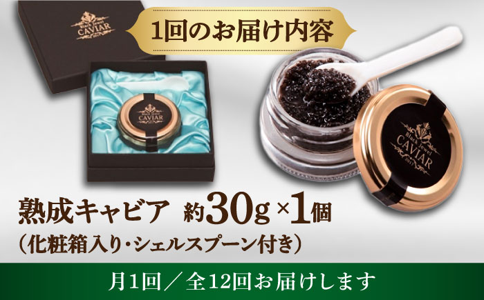 【12回定期便】高知産熟成キャビア約30g (化粧箱) シェルスプーン付Black Jewel 【興洋フリーズ株式会社】 [ATBX102]